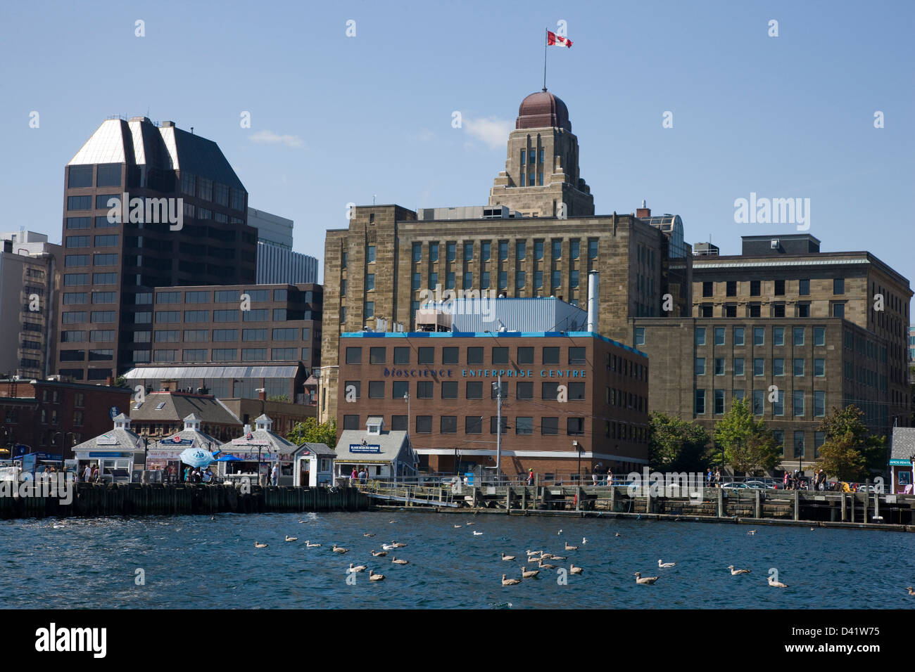 Los muelles del puerto de Halifax, con el dominio edificio público en el fondo Foto de stock