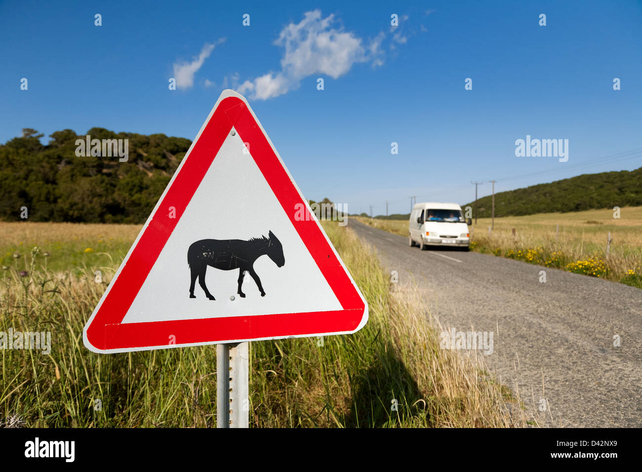 República turca del norte de Chipre, un burro señal de advertencia sobre una carretera Foto de stock