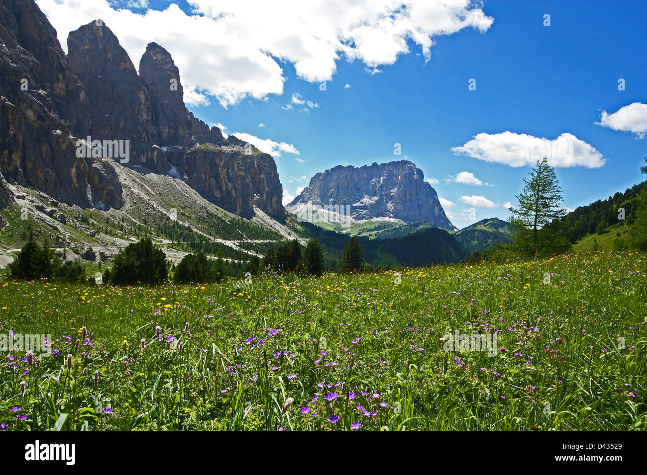 Montaña, Gadertal VVal Badia, el Alto Adige, Italia, naturaleza Foto de stock