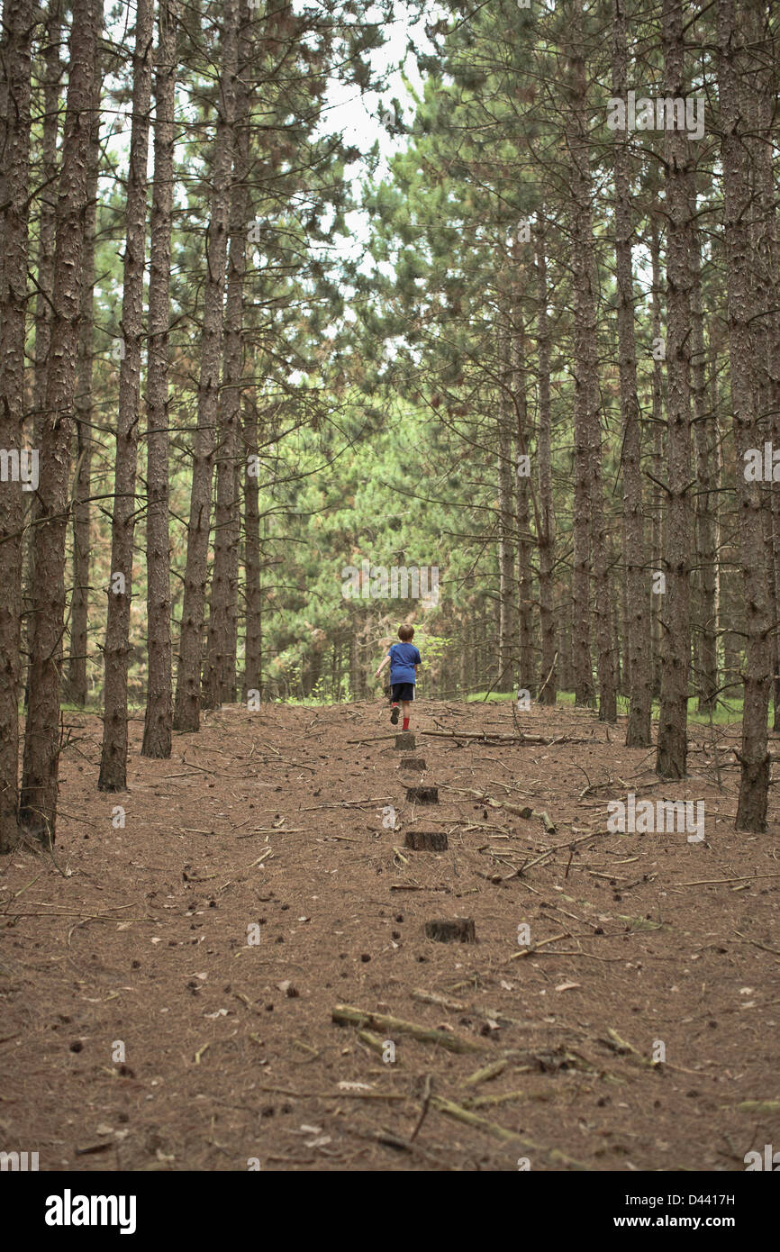 Muchacho caminando en el camino en el bosque, Newmarket, Ontario, Canadá Foto de stock