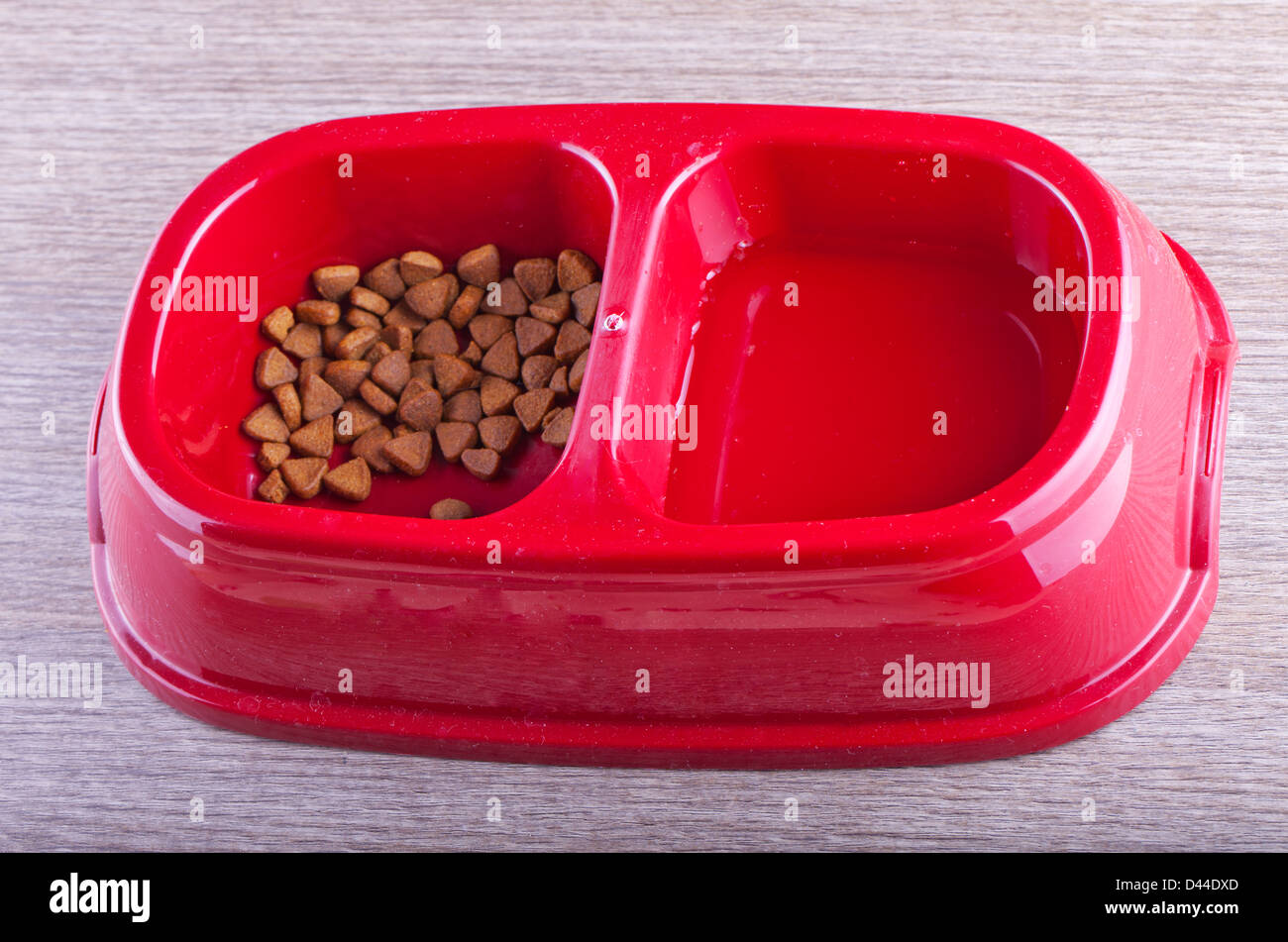 Cerca de taza roja con dos spots para catfood y agua Foto de stock