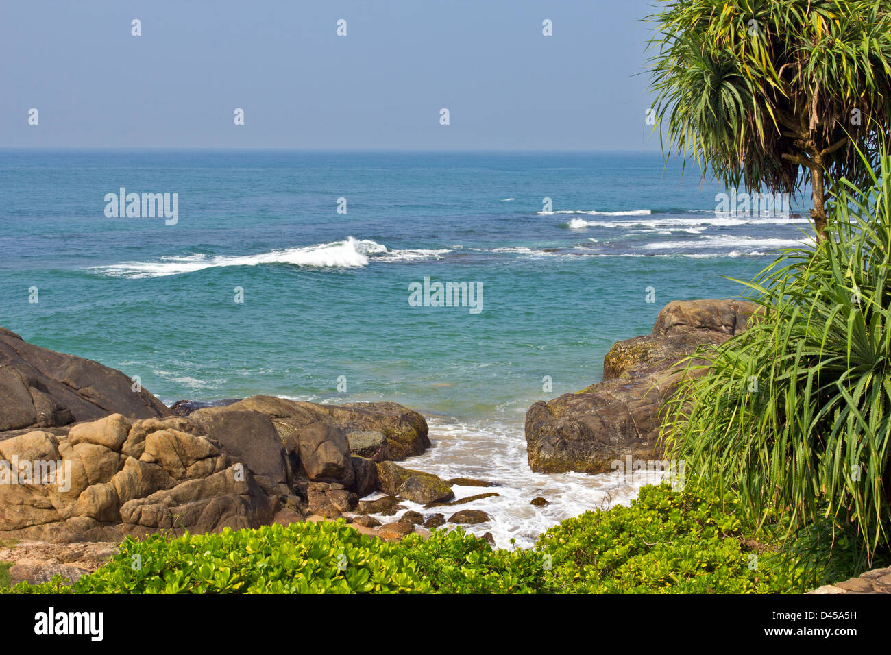 Mar y las rocas de playa tropical en el sur de Sri Lanka con flora típica Foto de stock
