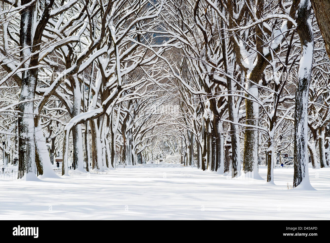 Central Park después de la tormenta de nieve cerca del Mall, la ciudad de Nueva York. Foto de stock