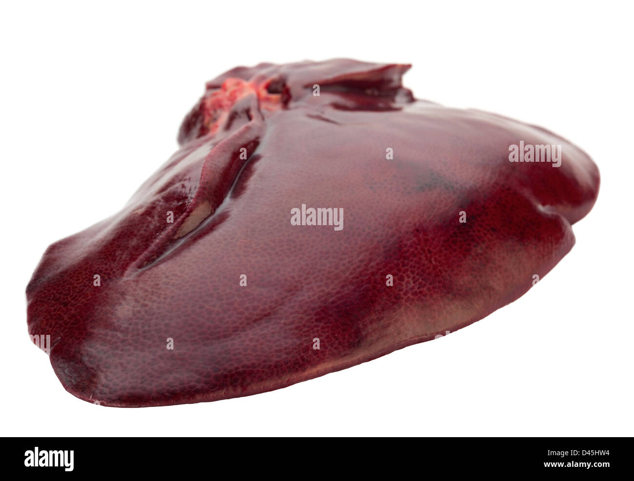 Hígado de cerdo cruda aislado en blanco Foto de stock