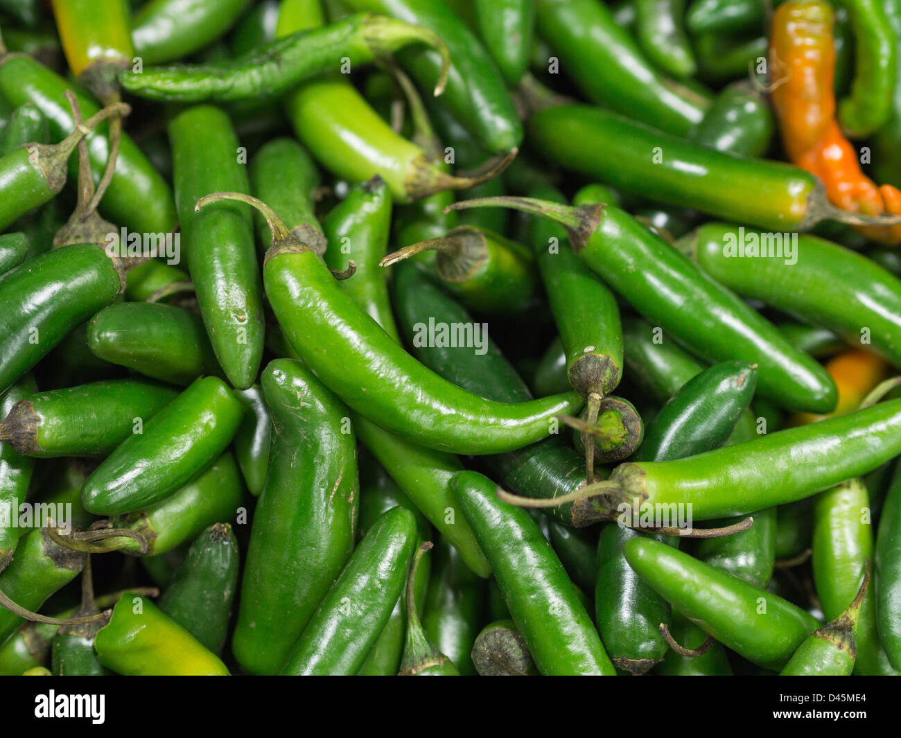 Chile Jalapeño verde. Un cuadro de muchos chiles jalapeños Fotografía