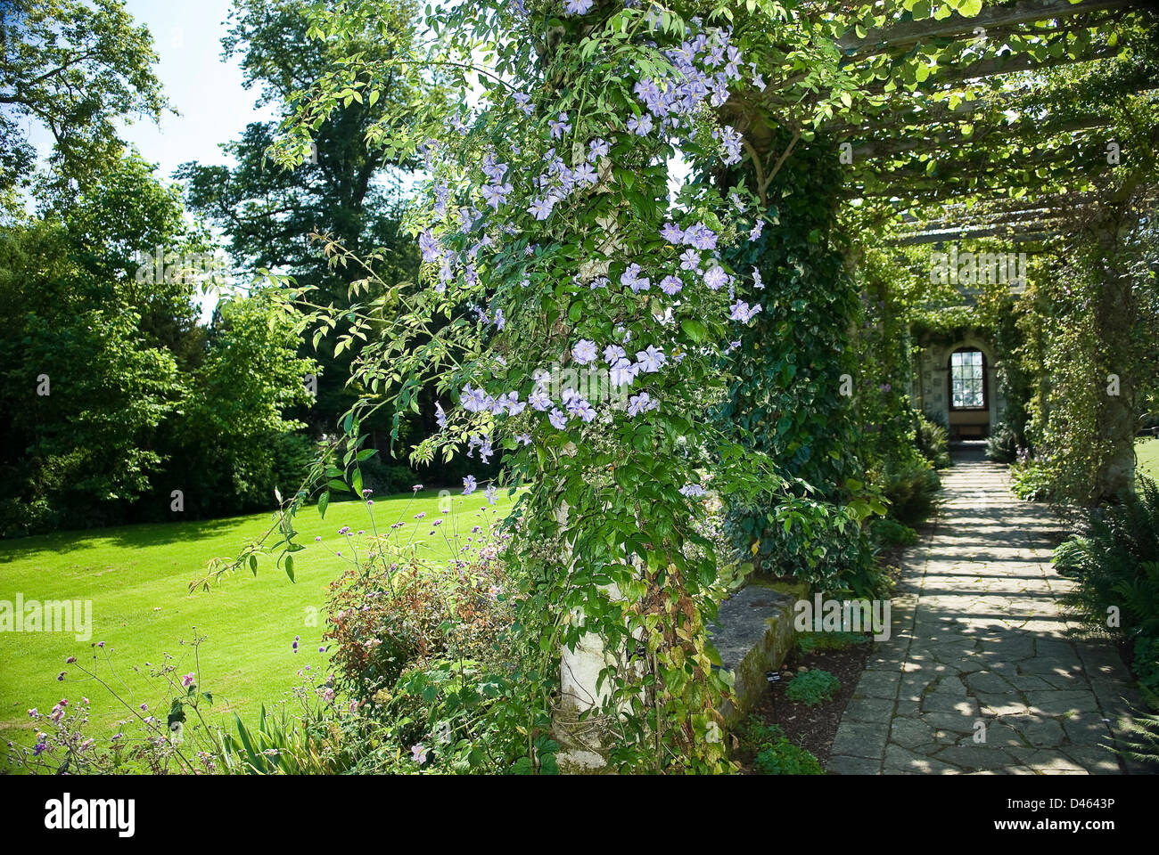 La pérgola cubierta con flores de verano en West Dean jardines cerca de Chichester, West Sussex, UK Foto de stock
