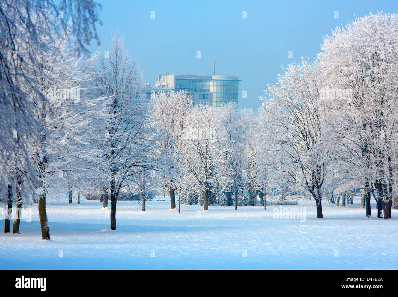 Hermoso paisaje de invierno Foto de stock