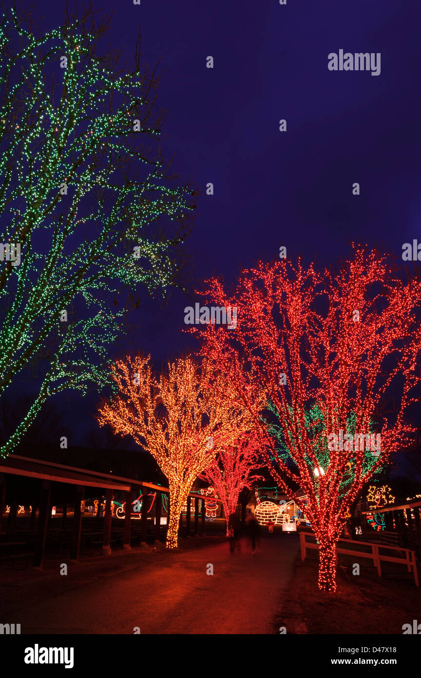Los árboles decorados con luces de Navidad para las vacaciones, por la  noche, en una calle de una pequeña ciudad estadounidense, una silueta de  una pareja en el fondo Fotografía de stock -