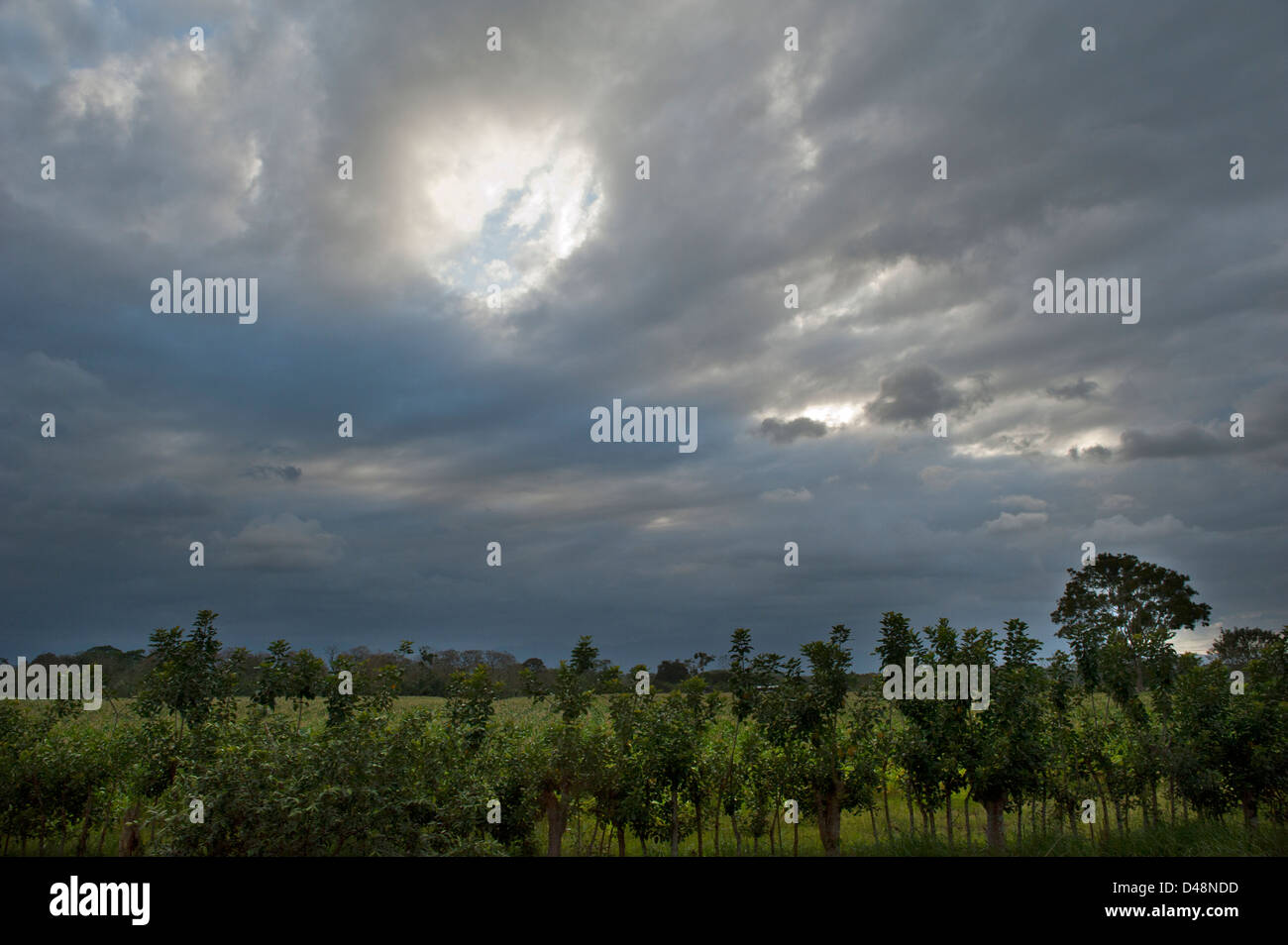 Espectacular cielo de campo verde en el Arenal, Costa Rica Foto de stock