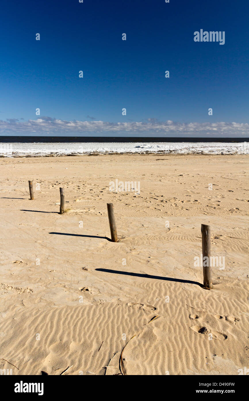 Espigas de madera vieja en una línea en la arena por el mar Báltico. Foto de stock