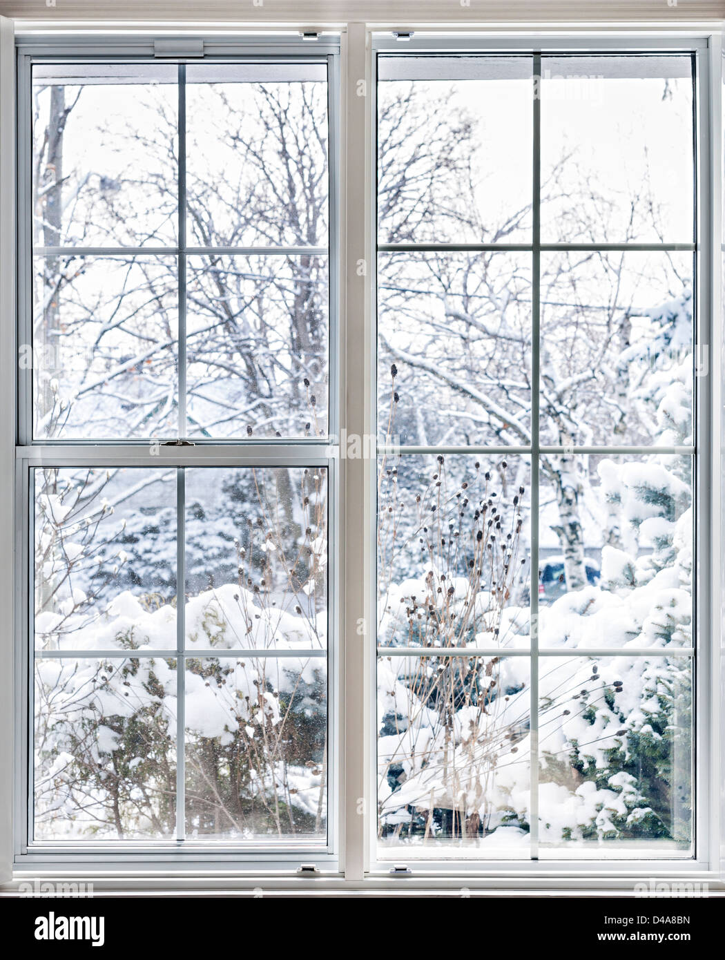 https://c8.alamy.com/compes/d4a8bn/casa-aislada-de-vinilo-con-windows-vista-invernal-de-plantas-y-arboles-nevados-d4a8bn.jpg