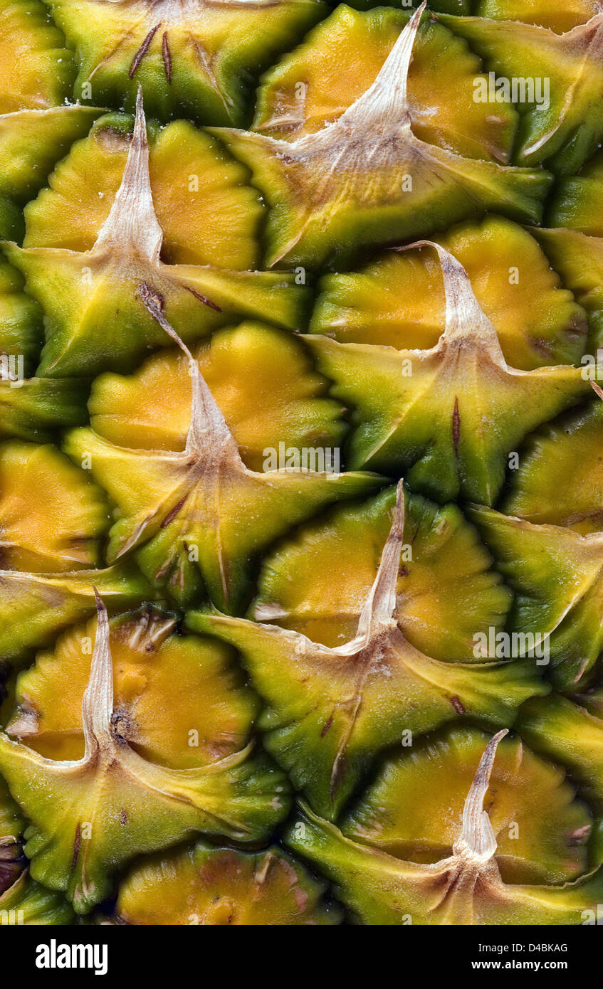 La Piña contiene bromelina enzima proteolítica que la