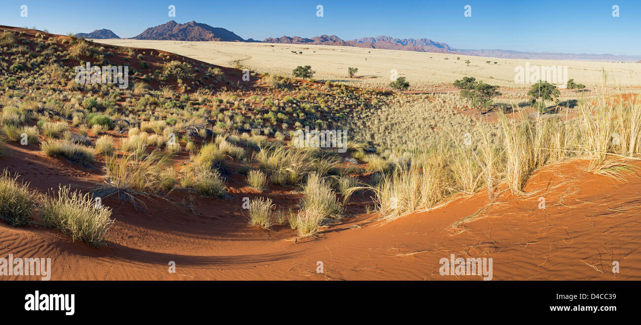 Paisaje, Namibia, África meridional, África Foto de stock