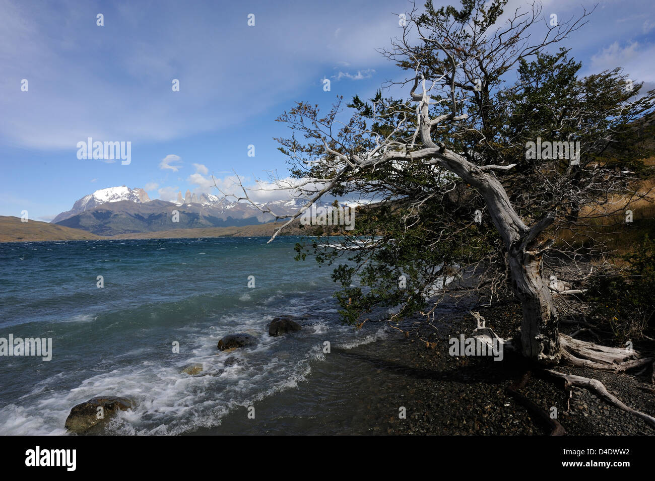 Las Torres del Paine en Laguna Azul, Parque Nacional Torres del Paine