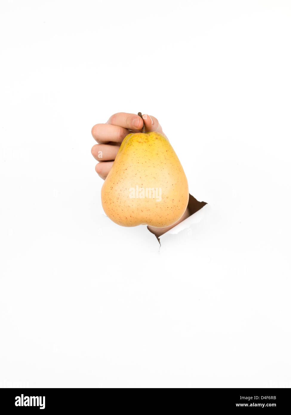 Close-up de hombre mano sosteniendo una pera amarillos a través de un libro blanco roto, aislado Foto de stock