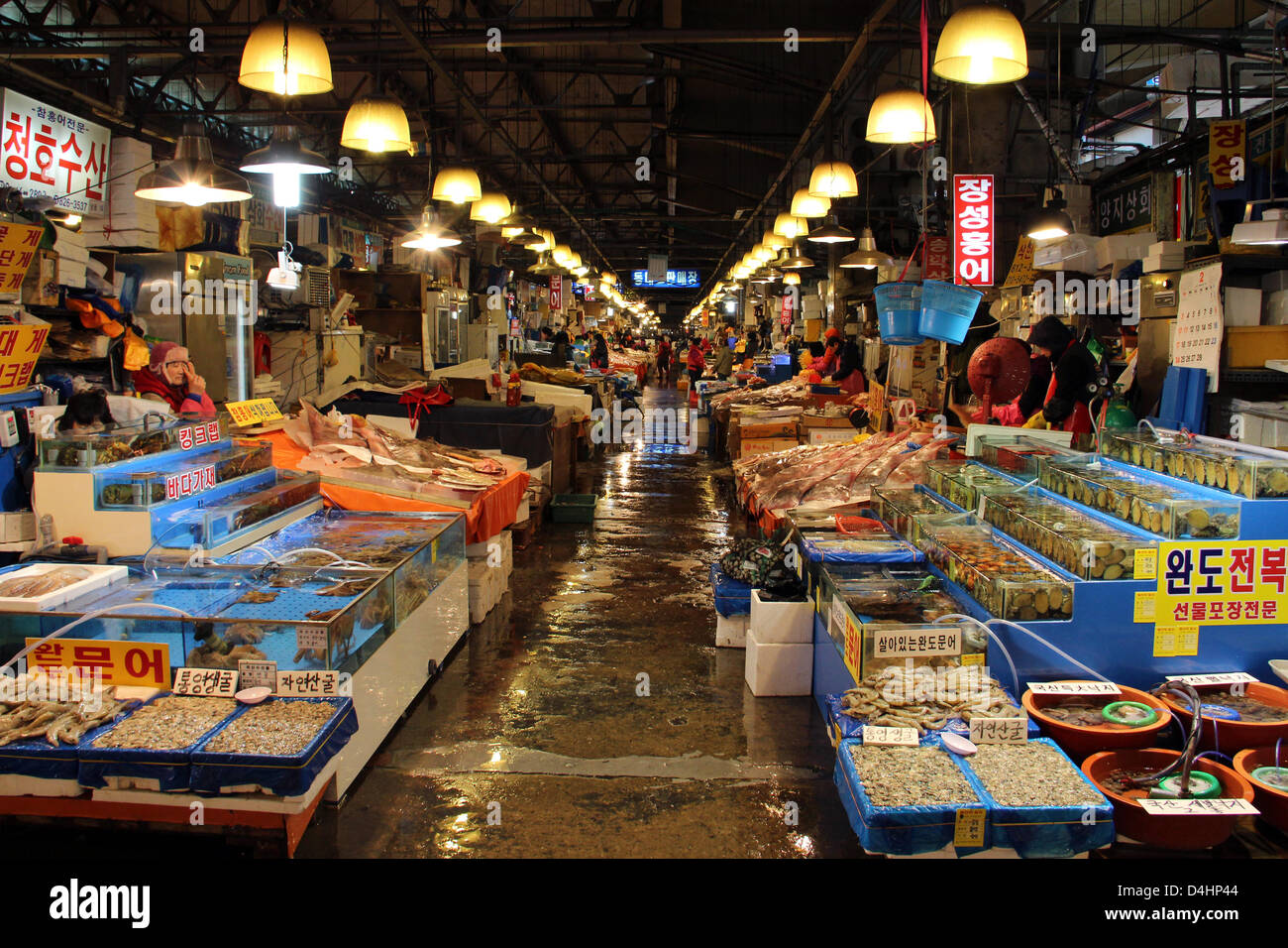 Corea del Sur: Mercado Mayorista Pesquero Noryangjin, Seúl Foto de stock