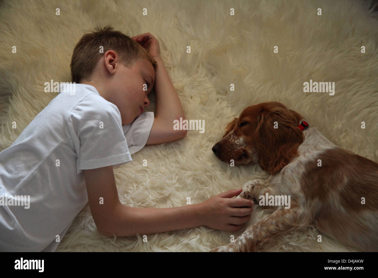 Niño y su perro acostado sobre una alfombra Foto de stock