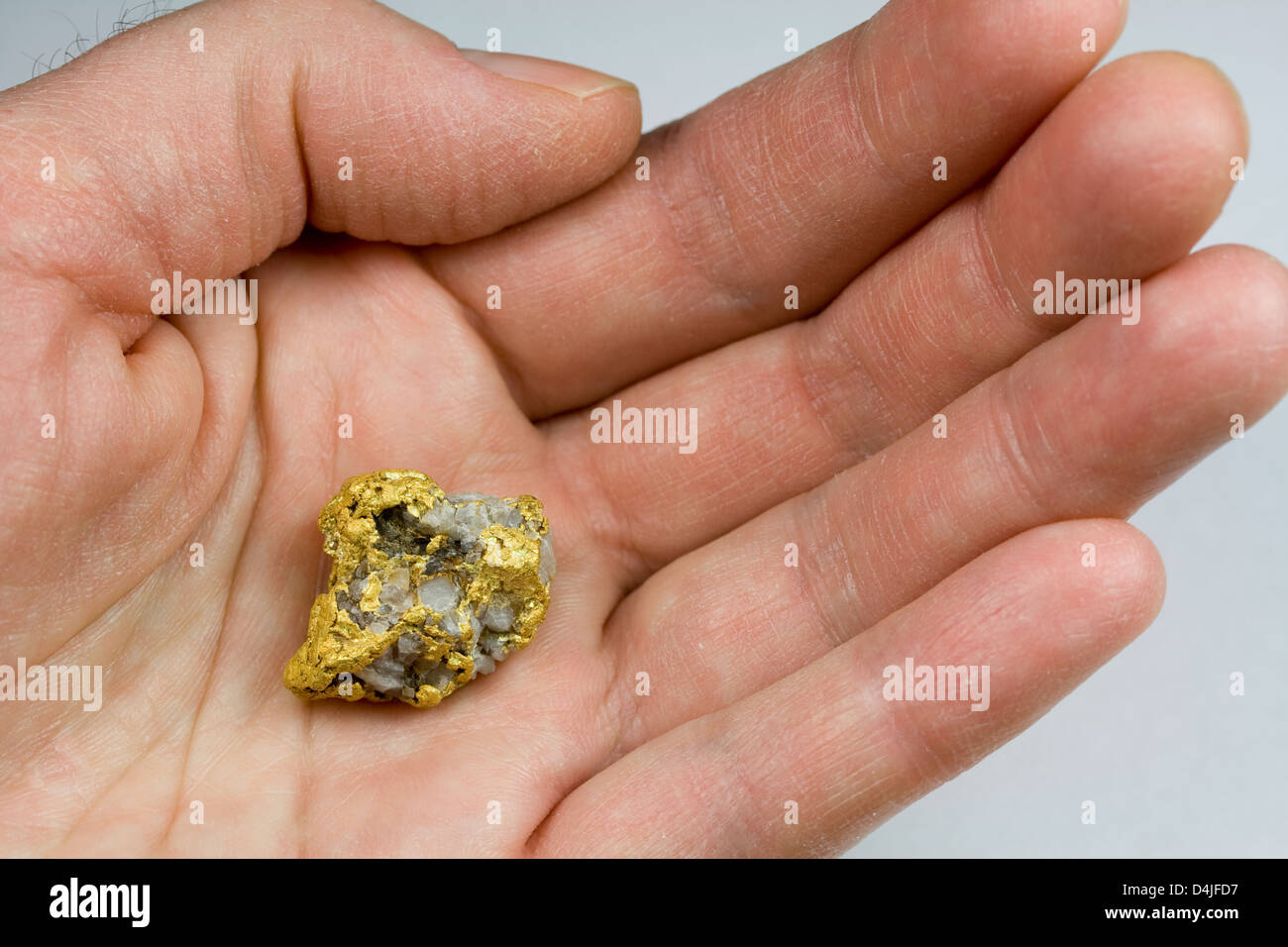 Oro Nevada EE.UU/Cuarzo Nugget en mano Foto de stock