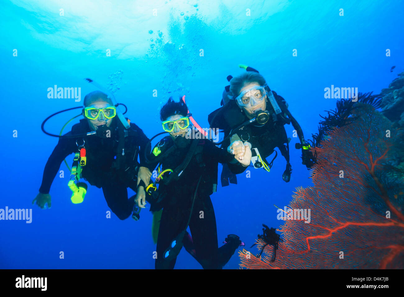 Los buzos nadar en arrecifes de coral Fotografía de stock - Alamy