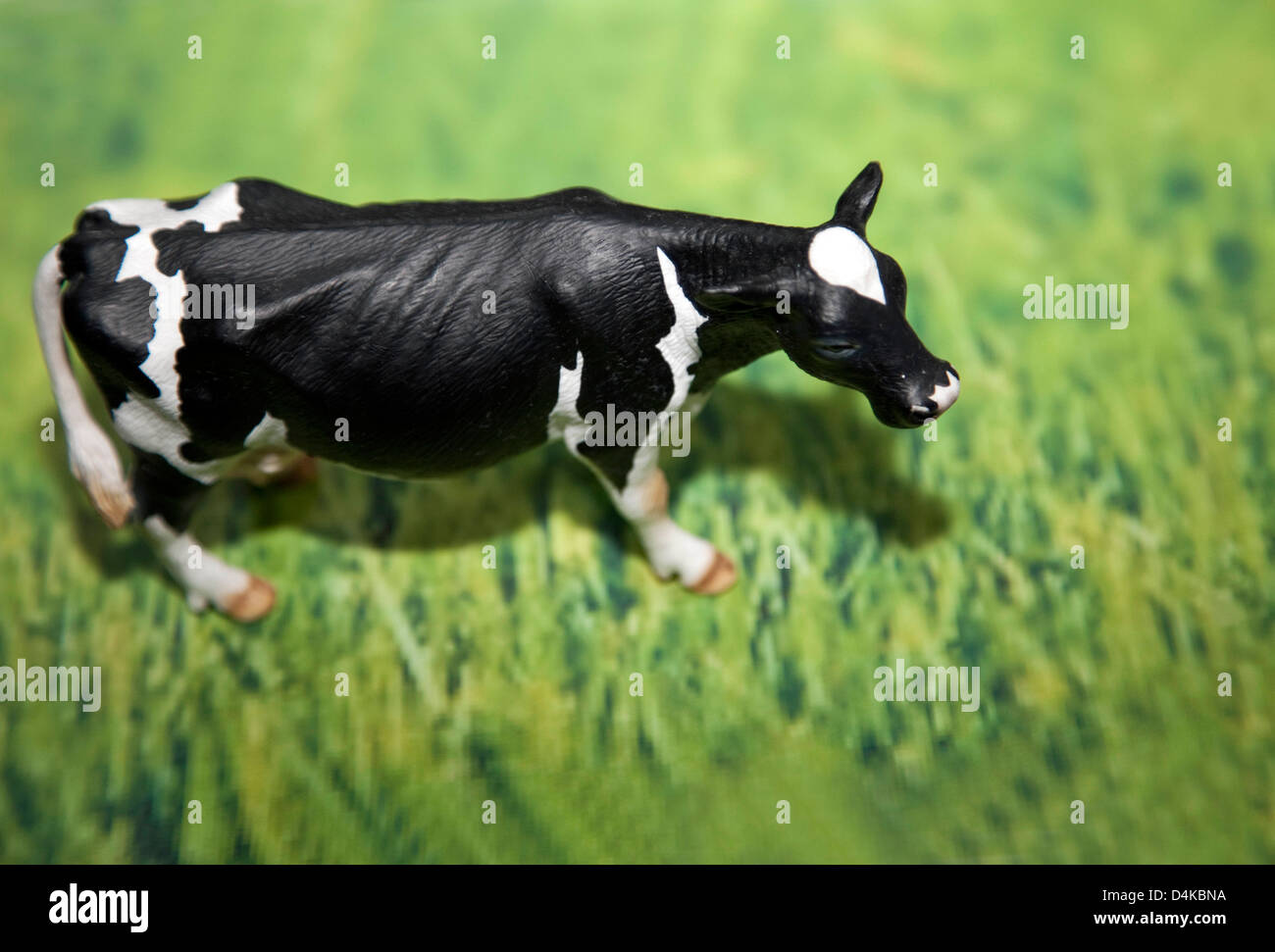 Modelo en el campo de la vaca, Londres Foto de stock