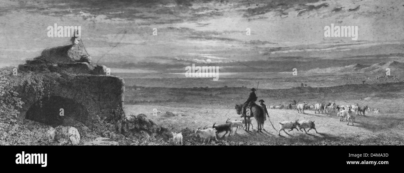 Las cabras en el campo alrededor de 1870. Foto de stock