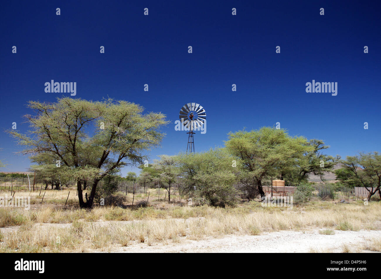 Típico paisaje de Namibia, con árboles de acacia y un windpump Foto de stock