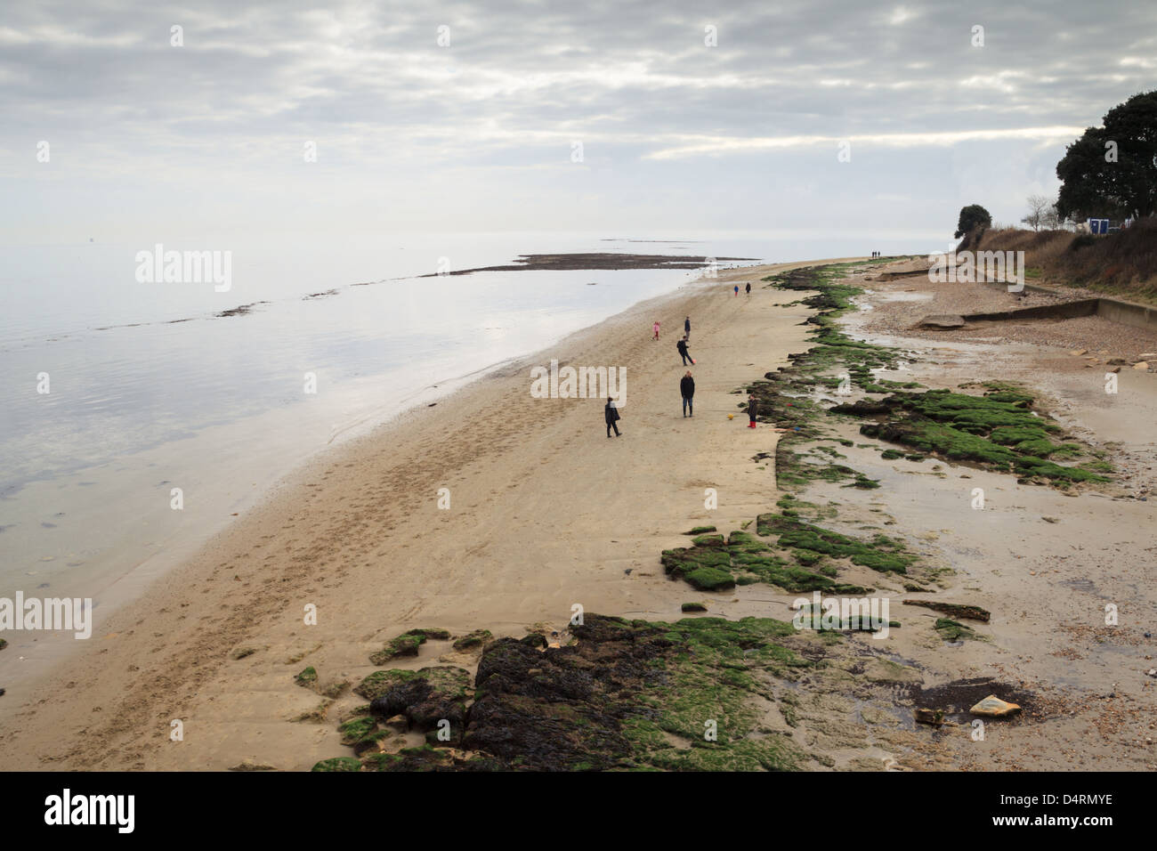 La gente disfruta de un paseo por la playa en Bembridge Playa. Los ecologistas están haciendo campaña para designar una zona de conservación marina. Foto de stock