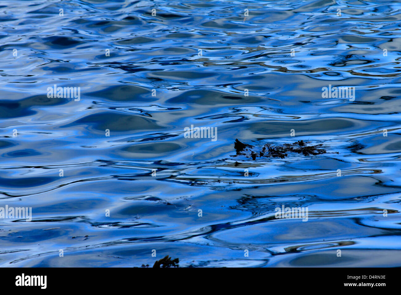 Blue murmullo del agua de los océanos en el puerto en marea alta Foto de stock