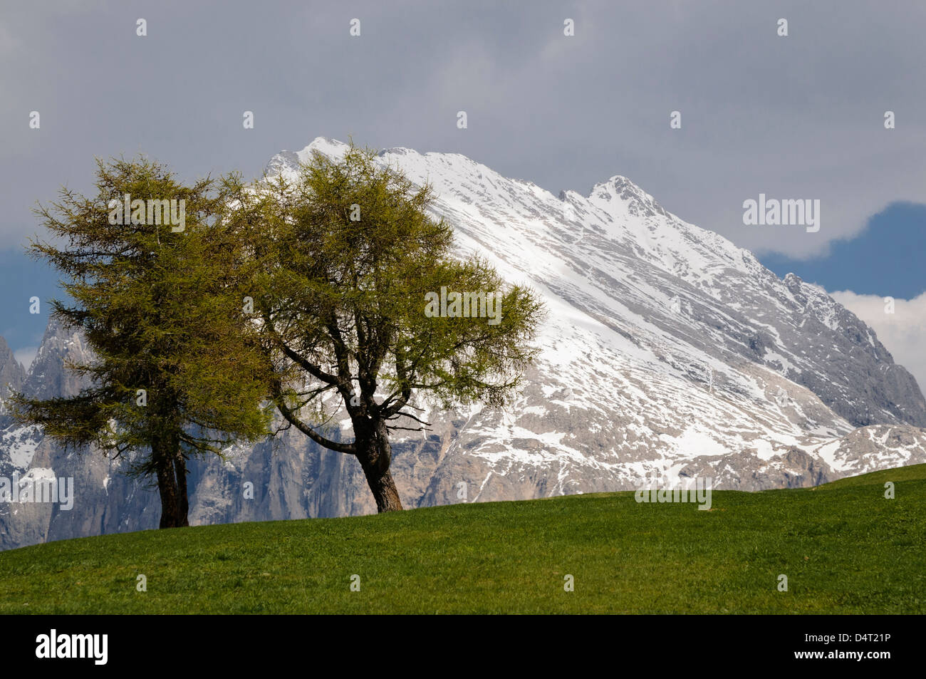 Alpes Siusi, Trentino Alto Adige, Italia. Alpe di Siusi., durante la primavera. Foto de stock