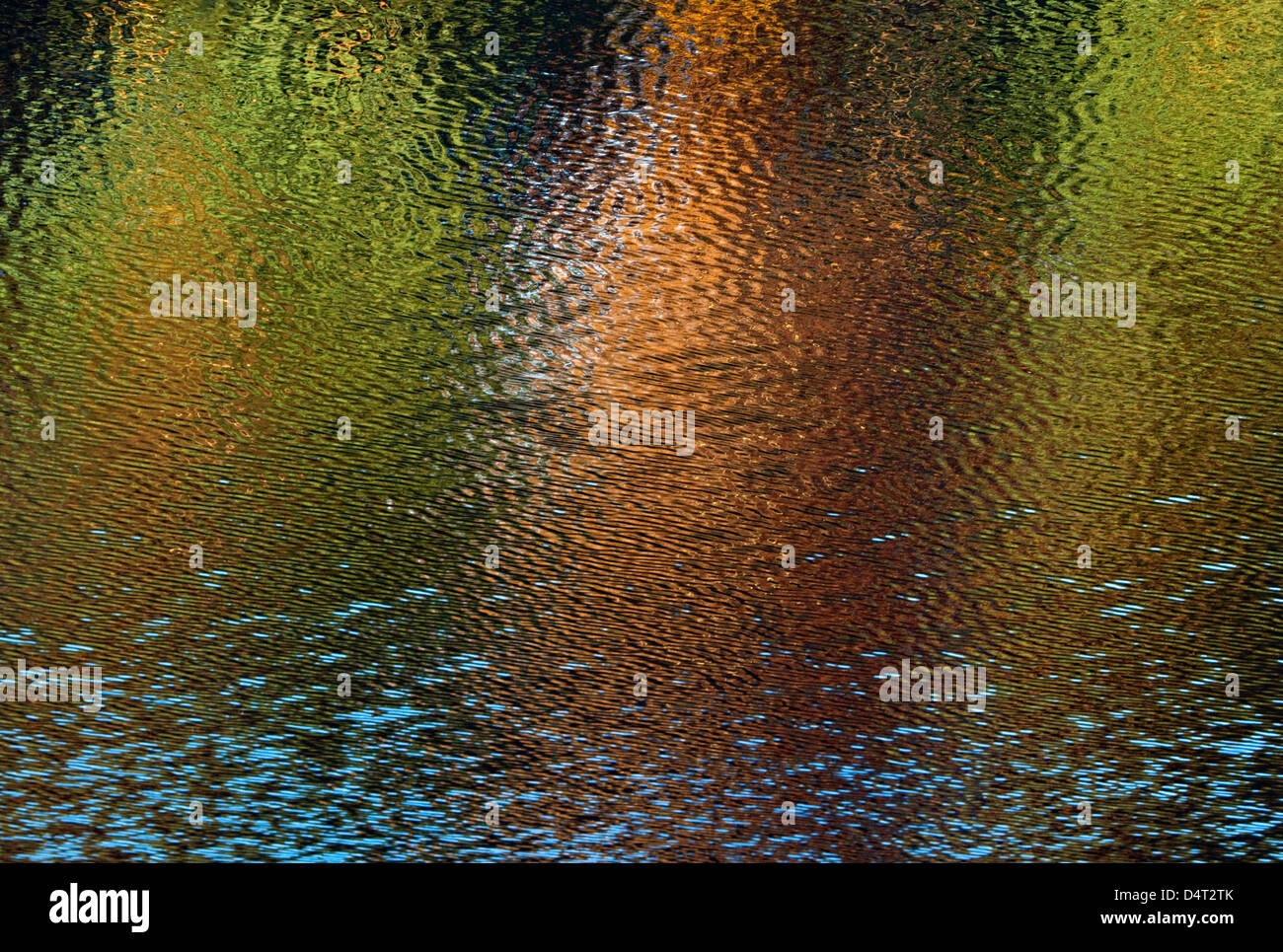 Impresionante matices otoñales matices y color en Woodlands reflejada en las aguas de las piscinas en roble justo Cannock Chase Área de Ou Foto de stock