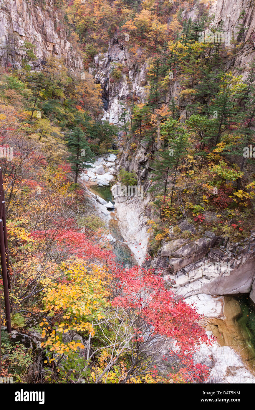 Cheonbuldong Valley Stream y acantilados de granito, el Parque Nacional de Seoraksan, Corea del Sur Foto de stock