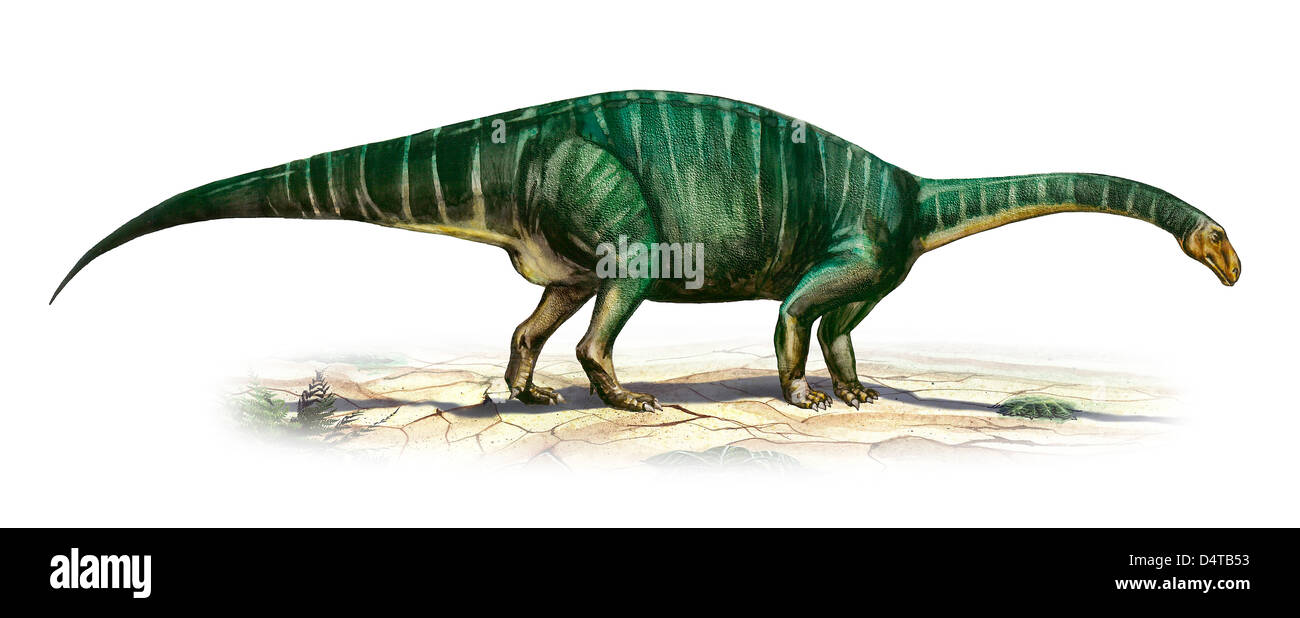 Plateosaurus engelhardti, un dinosaurio de la era prehistórica desde finales del período triásico. Foto de stock