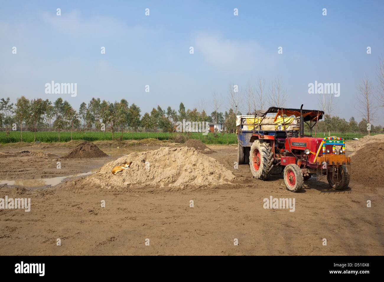 Punjabi paisaje con un tractor y un perro durmiendo en la zona de secado para arena tomada desde el río Beas Foto de stock