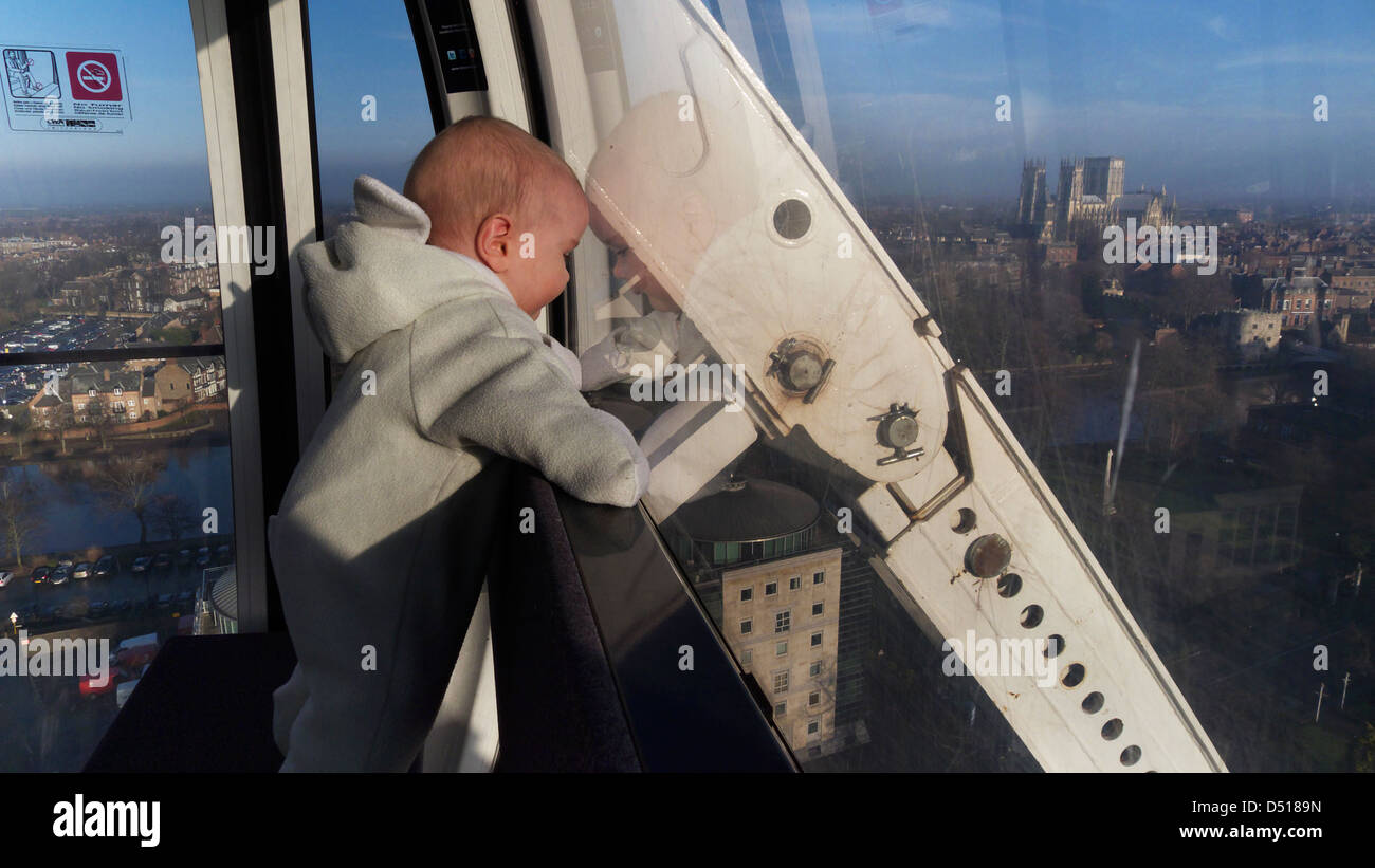 Un pequeño bebé de pie mirando por la ventana del Yorshire rueda, York, Inglaterra Foto de stock