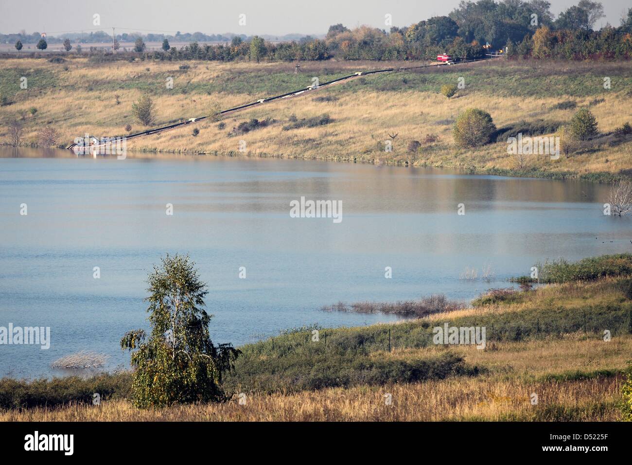 Un muelle se encuentra en las aguas de la Concordia, cerca de lago de Schadeleben, Alemania, el 11 de octubre de 2010. Para la seguridad de Concordia lago el agua será bombeada fuera de las antiguas explotaciones mineras a cielo abierto, inundadas. Desde los devastadores deslizamientos de tierra en julio de 2009, el nivel del agua subió más de 1,5 metros y se trajo de vuelta a la normalidad. Esta acción se ha tomado para que las investigaciones sean más seguros en el alud t Foto de stock