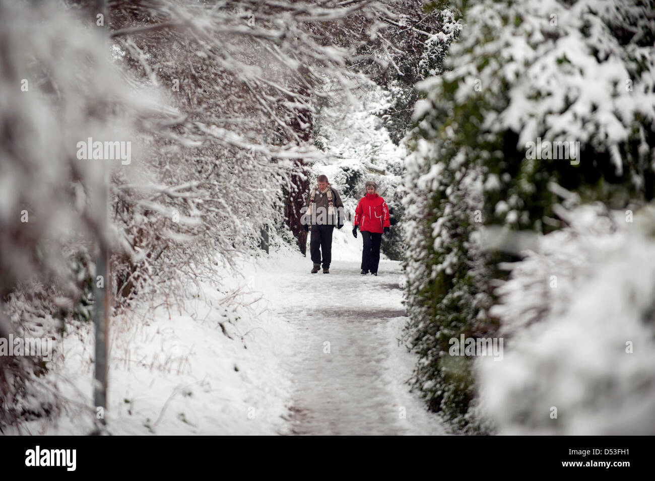 Lichfield, Staffordshire, Reino Unido. 23 de marzo de 2013. Como comienza la primavera, la nieve cubre la ciudad de Lichfield, Staffordshire durante la noche. Crédito: Richard Grange / Alamy Live News Foto de stock