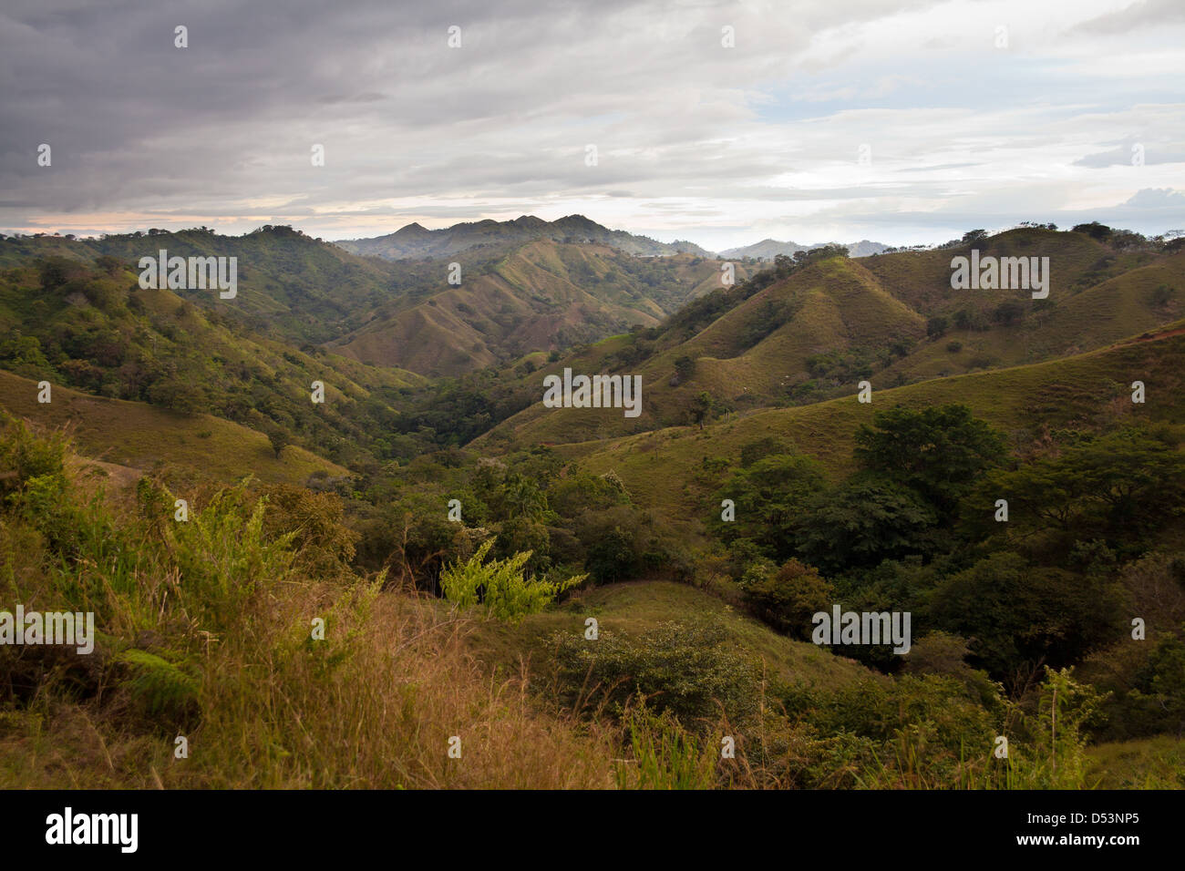 Hermosos paisajes de colinas entre Tonosi y Las Tablas, Provincia de Los Santos, República de Panamá Foto de stock