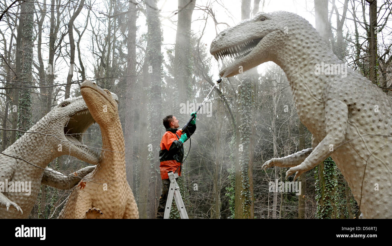Miembro del personal Robert Marx limpia la boca de un dinosaurio Antrodemus en Dinosaur Park de Kleinwelka, Alemania, el 23 de marzo de 2010. El parque que cuenta con unos 200 lifesize Miembro del personal Robert Marx limpia la boca de un dinosaurio Antrodemus en Dinosaur Park de Kleinwelka, Alemania, el 23 de marzo de 2010. El parque que cuenta con unos 200 lifesize