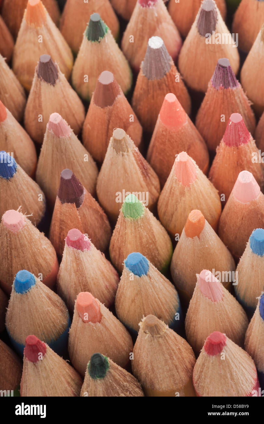 Varios lápices de colores como una escala de peces. Foto de stock
