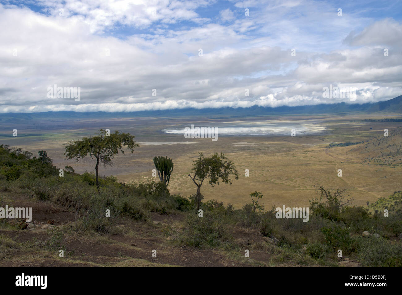 Africa, Tanzania, el cráter del Ngorongoro una vista de la formación geológica Foto de stock