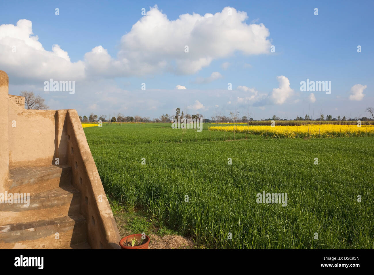 Un típico paisaje Punjabi agrícolas vistos desde las escaleras de un tradicional edificio de barro. Foto de stock