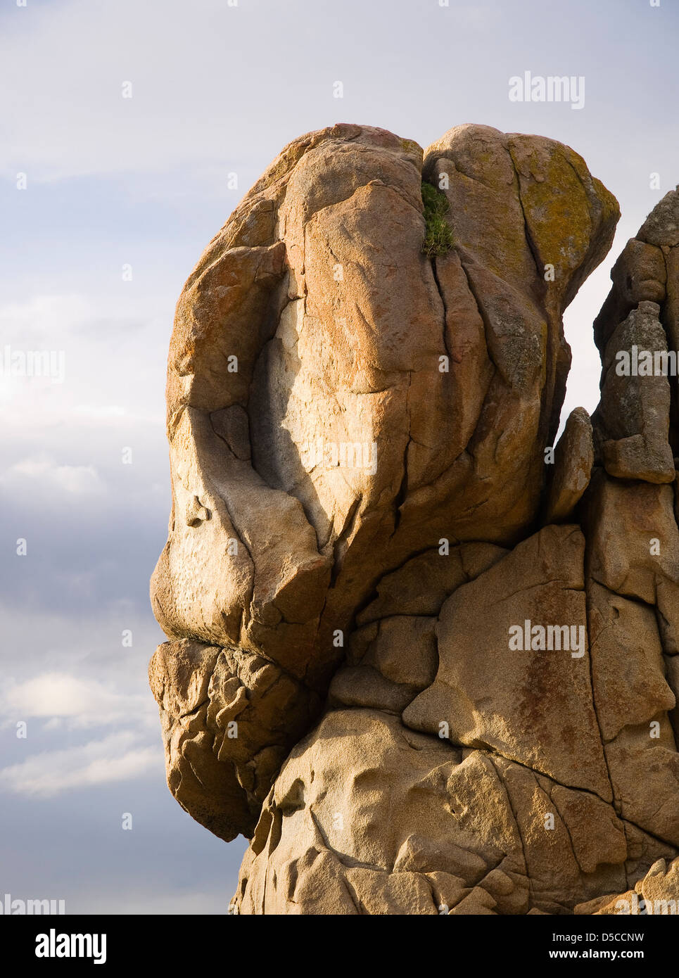 Roca con forma de cabeza en la naturaleza. Un detalle de roca