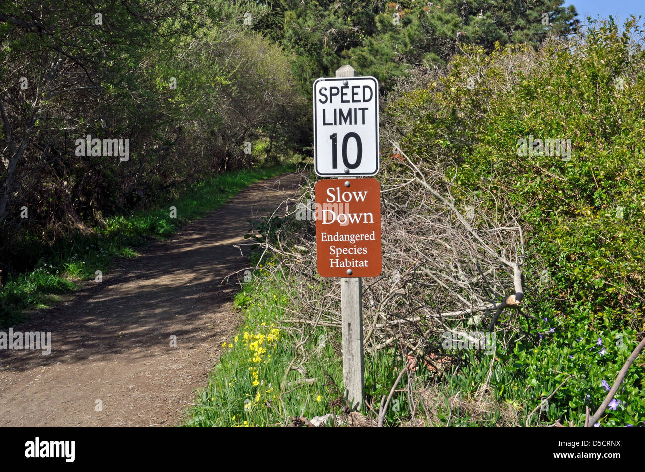 Límite de velocidad signos de especies en peligro de extinción, Pacifica, California, EE.UU. Foto de stock