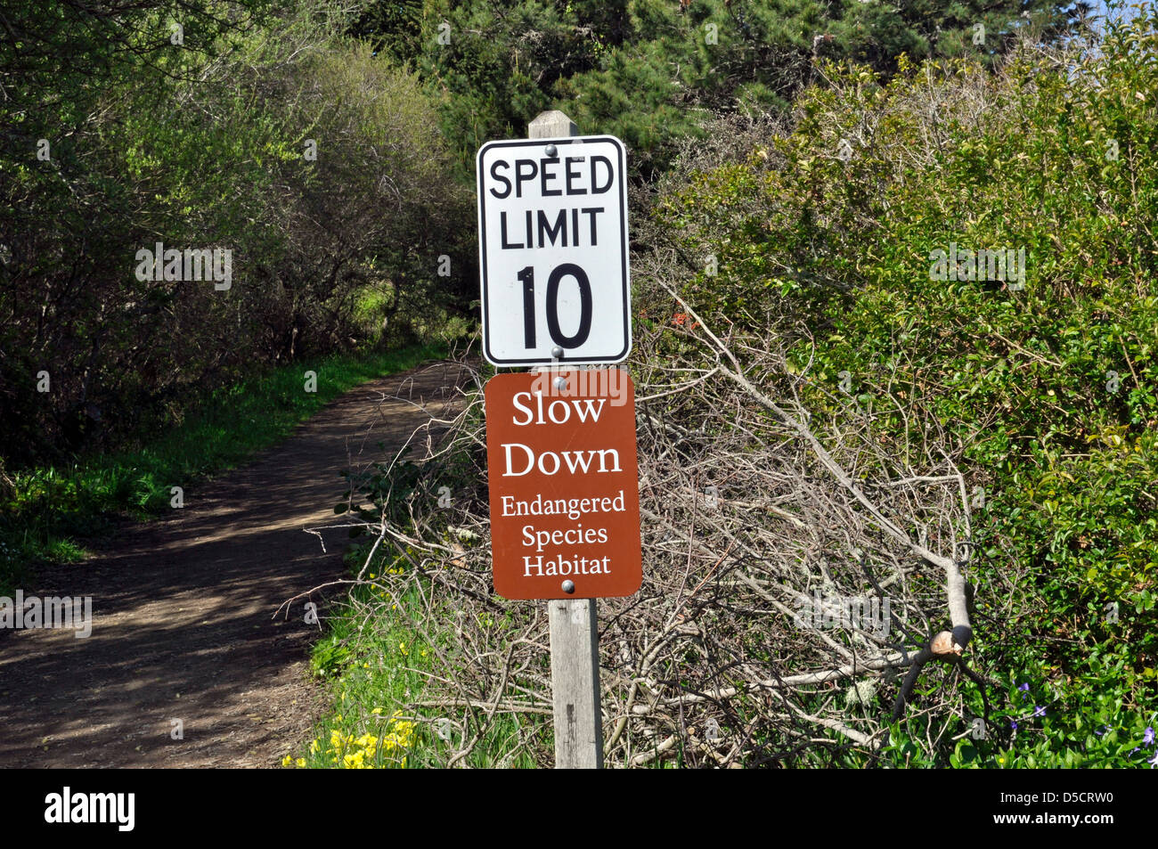 Límite de velocidad signos de especies en peligro de extinción, Pacifica, California, EE.UU. Foto de stock