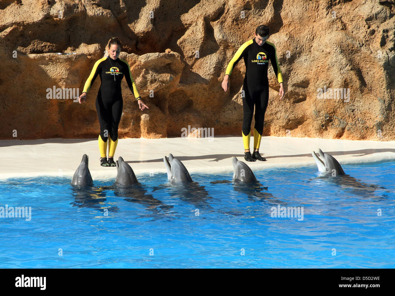 Puerto de la Cruz, España, adiestradores de animales y delfines en el Loro Parque Foto de stock