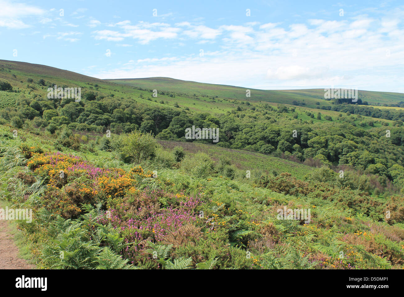 Exmoor paisaje mirando hacia Dunkery Beacon Foto de stock