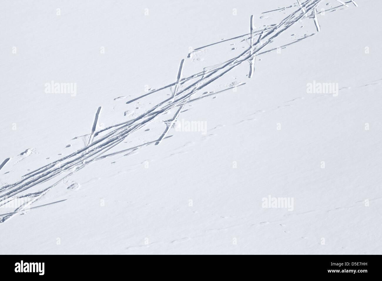 Pista de esquí campo nevado. Fondo de deportes de invierno, esquí cross-country Foto de stock
