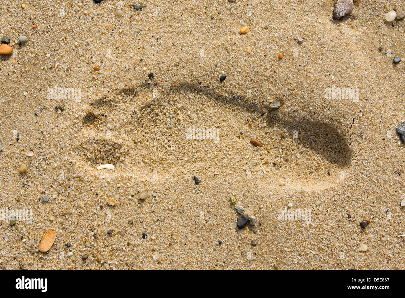 Un pie en la arena de impresión Foto de stock