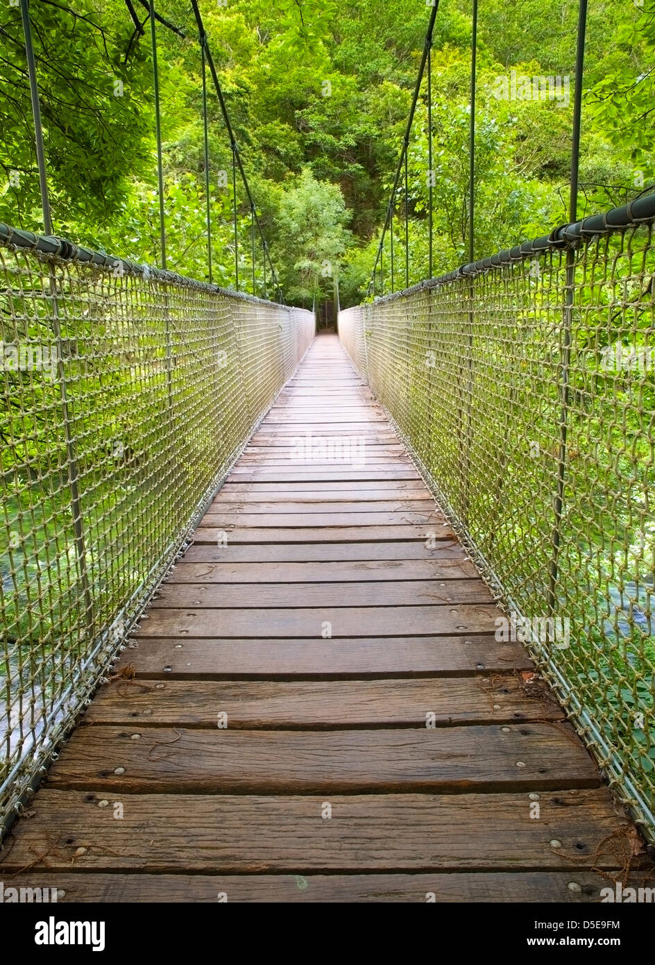 Puente colgante en el bosque. Este puente está situado en el parque natural  