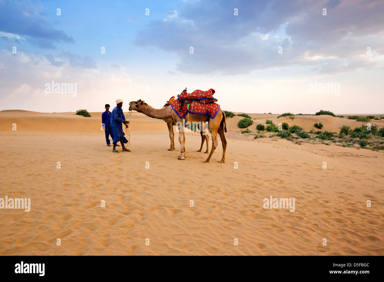 Dos hombres de pie con camellos en un desierto, el desierto de Thar, Jaisalmer, Rajasthan, India Foto de stock